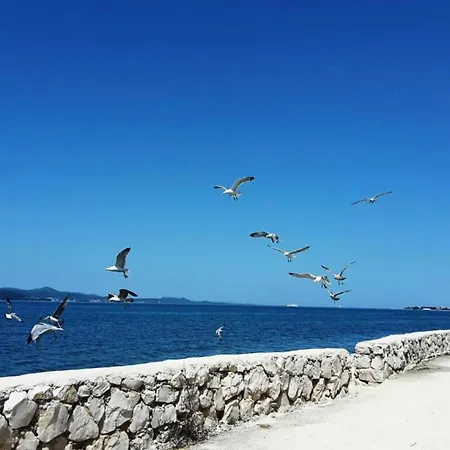 公寓 In Near Pebble